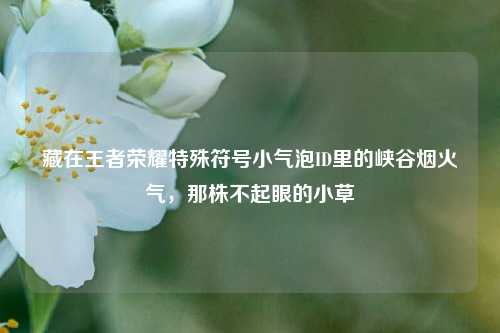 藏在王者荣耀特殊符号小气泡ID里的峡谷烟火气，那株不起眼的小草
