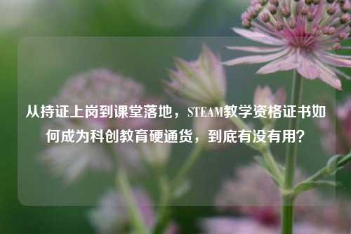 从持证上岗到课堂落地，STEAM教学资格证书如何成为科创教育硬通货，到底有没有用？