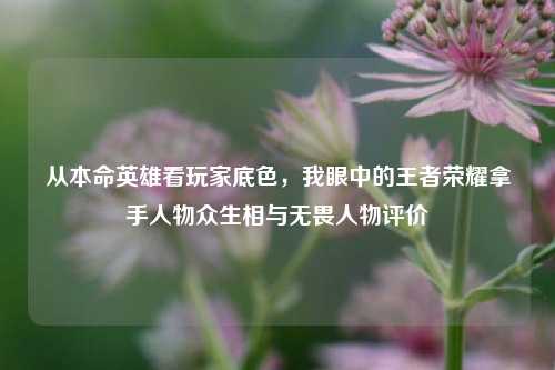 从本命英雄看玩家底色，我眼中的王者荣耀拿手人物众生相与无畏人物评价