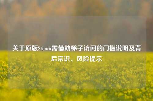 关于原版Steam需借助梯子访问的门槛说明及背后常识、风险提示