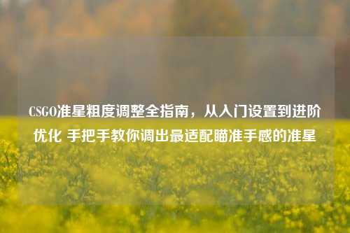 CSGO准星粗度调整全指南，从入门设置到进阶优化 手把手教你调出最适配瞄准手感的准星