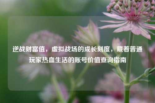 逆战财富值，虚拟战场的成长刻度，藏着普通玩家热血生活的账号价值查询指南