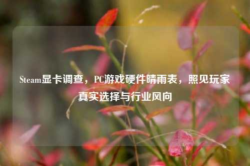 Steam显卡调查,PC游戏硬件晴雨表,照见玩家真实选择与行业风向