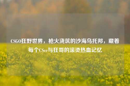 CSGO狂野世界，枪火浇筑的沙海乌托邦，藏着每个CSer与狂哥的滚烫热血记忆