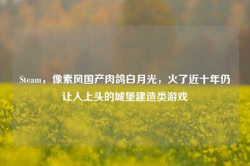 Steam，像素风国产肉鸽白月光，火了近十年仍让人上头的城堡建造类游戏