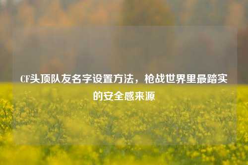 CF头顶队友名字设置方法，枪战世界里最踏实的安全感来源
