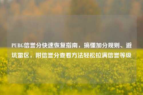 PUBG信誉分快速恢复指南,搞懂加分规则、避坑雷区,附信誉分查看方法轻松拉满信誉等级