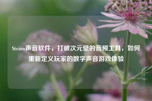 Steam声音软件,打破次元壁的音频工具,如何重新定义玩家的数字声音游戏体验