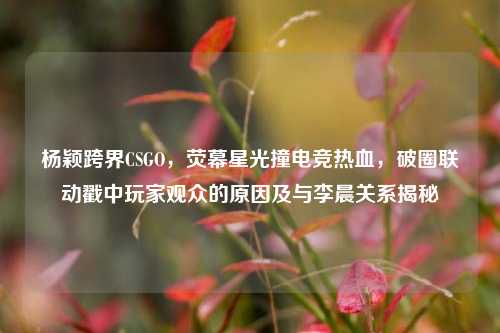 杨颖跨界CSGO，荧幕星光撞电竞热血，破圈联动戳中玩家观众的原因及与李晨关系揭秘