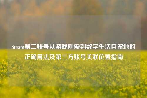 Steam第二账号从游戏刚需到数字生活自留地的正确用法及第三方账号关联位置指南