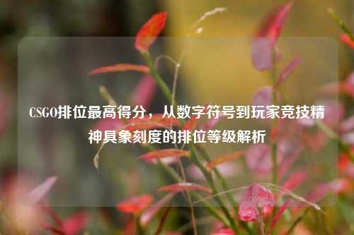CSGO排位最高得分，从数字符号到玩家竞技精神具象刻度的排位等级解析