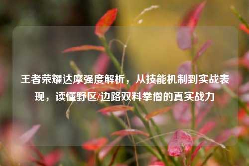 王者荣耀达摩强度解析，从技能机制到实战表现，读懂野区/边路双料拳僧的真实战力
