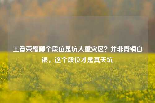 王者荣耀哪个段位是坑人重灾区？并非青铜白银，这个段位才是真天坑