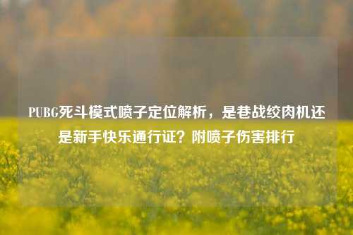 PUBG死斗模式喷子定位解析，是巷战绞肉机还是新手快乐通行证？附喷子伤害排行