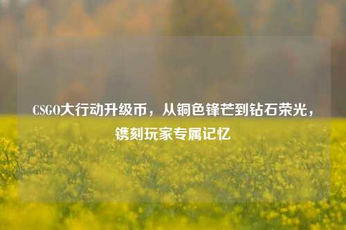 CSGO大行动升级币，从铜色锋芒到钻石荣光，镌刻玩家专属记忆