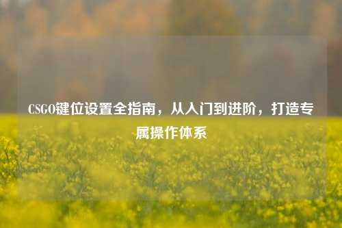 CSGO键位设置全指南,从入门到进阶,打造专属操作体系