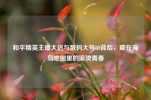 和平精英主播大迟与数码大号ID背后，藏在海岛地图里的滚烫青春