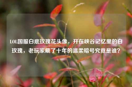 LOL国服白底玫瑰花头像，开在峡谷记忆里的白玫瑰，老玩家藏了十年的温柔暗号究竟是谁？