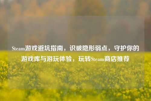 Steam游戏避坑指南，识破隐形弱点，守护你的游戏库与游玩体验，玩转Steam商店推荐