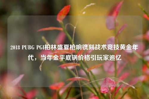 2018 PUBG PGI柏林盛夏枪响镌刻战术竞技黄金年代,当年金平底锅价格引玩家追忆