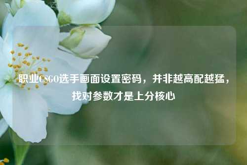 职业CSGO选手画面设置密码，并非越高配越猛，找对参数才是上分核心