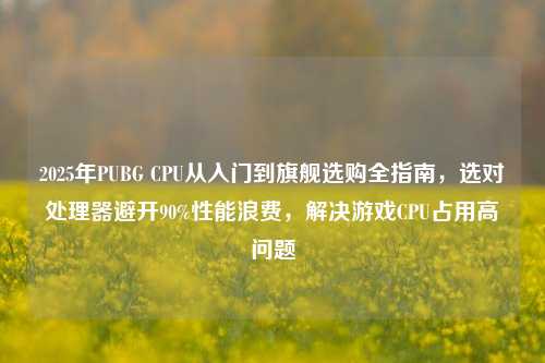 2025年PUBG CPU从入门到旗舰选购全指南，选对处理器避开90%性能浪费，解决游戏CPU占用高问题