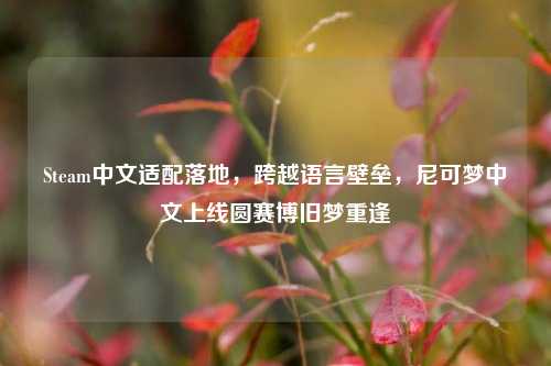 Steam中文适配落地,跨越语言壁垒,尼可梦中文上线圆赛博旧梦重逢