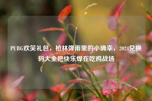 PUBG欢笑礼包，枪林弹雨里的小确幸，2024兑换码大全把快乐焊在吃鸡战场