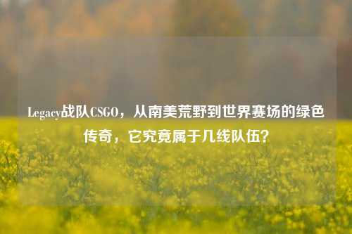 Legacy战队CSGO,从南美荒野到世界赛场的绿色传奇,它究竟属于几线队伍?