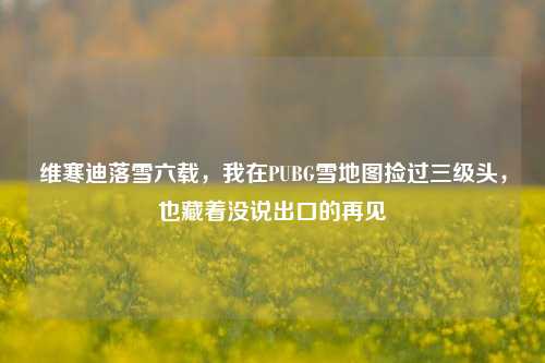 维寒迪落雪六载，我在PUBG雪地图捡过三级头，也藏着没说出口的再见