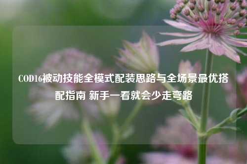 COD16被动技能全模式配装思路与全场景最优搭配指南 新手一看就会少走弯路
