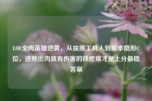 LOL全肉英雄逆袭，从挨揍工具人到版本隐形C位，这些出肉就有伤害的铁疙瘩才是上分最稳答案