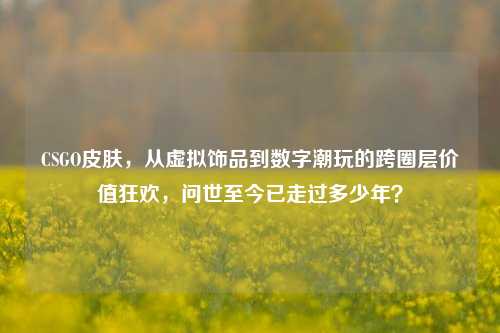 CSGO皮肤，从虚拟饰品到数字潮玩的跨圈层价值狂欢，问世至今已走过多少年？