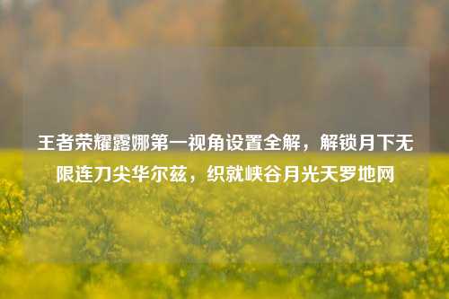 王者荣耀露娜第一视角设置全解,解锁月下无限连刀尖华尔兹,织就峡谷月光天罗地网