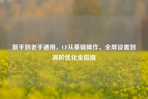 新手到老手通用,CF从基础操作、全屏设置到高阶优化全指南