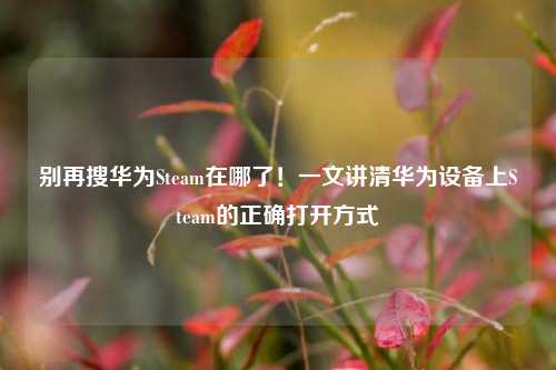 别再搜华为Steam在哪了！一文讲清华为设备上Steam的正确打开方式