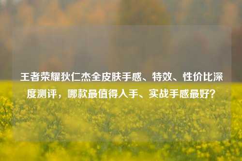 王者荣耀狄仁杰全皮肤手感、特效、性价比深度测评，哪款最值得入手、实战手感最好？