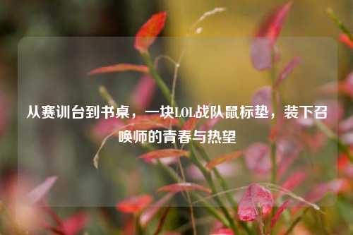 从赛训台到书桌,一块LOL战队鼠标垫,装下召唤师的青春与热望