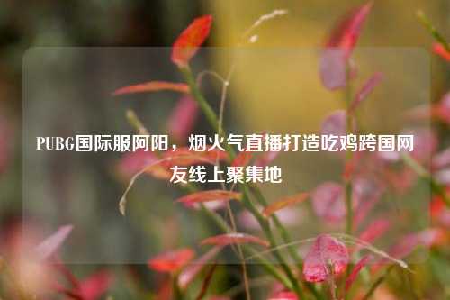 PUBG国际服阿阳，烟火气直播打造吃鸡跨国网友线上聚集地