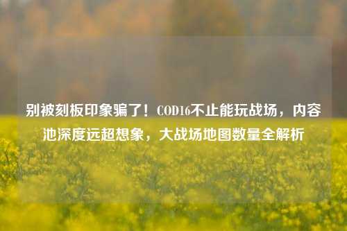 别被刻板印象骗了！COD16不止能玩战场，内容池深度远超想象，大战场地图数量全解析