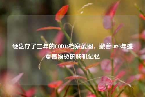 硬盘存了三年的COD16档案截图，藏着2020年盛夏最滚烫的联机记忆