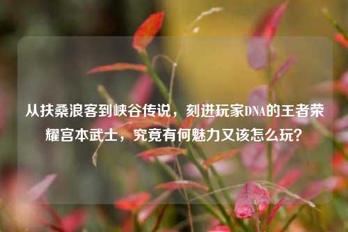 从扶桑浪客到峡谷传说，刻进玩家DNA的王者荣耀宫本武士，究竟有何魅力又该怎么玩？