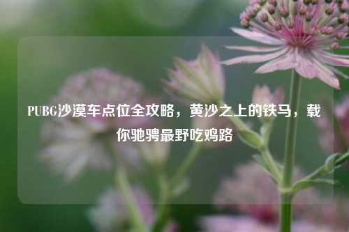 PUBG沙漠车点位全攻略，黄沙之上的铁马，载你驰骋最野吃鸡路