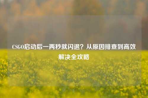 CSGO启动后一两秒就闪退？从原因排查到高效解决全攻略