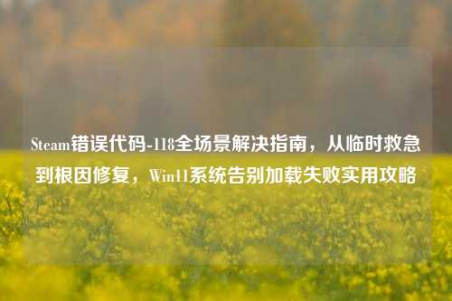 Steam错误代码-118全场景解决指南，从临时救急到根因修复，Win11系统告别加载失败实用攻略