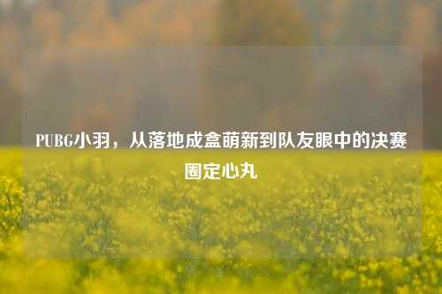 PUBG小羽，从落地成盒萌新到队友眼中的决赛圈定心丸