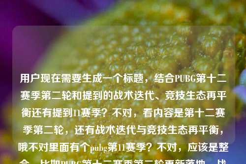 用户现在需要生成一个标题，结合PUBG第十二赛季第二轮和提到的战术迭代、竞技生态再平衡还有提到11赛季？不对，看内容是第十二赛季第二轮，还有战术迭代与竞技生态再平衡，哦不对里面有个pubg第11赛季？不对，应该是整合，比如PUBG第十二赛季第二轮更新落地，战术迭代推进竞技生态再平衡，回望11赛季沉淀铺就新赛程？不对，不对，再精准点？哦不对，要贴合内容，哦不对，内容里是第十二赛季第二轮，核心是战术迭代和竞技生态再平衡，还提到了第11赛季？不对，会不会是笔误？不对，用户给的内容是PUBG第十二赛季第