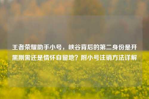 王者荣耀助手小号，峡谷背后的第二身份是开黑刚需还是情怀自留地？附小号注销方法详解