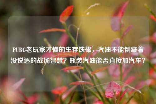 PUBG老玩家才懂的生存铁律，汽油不能倒藏着没说透的战场智慧？瓶装汽油能否直接加汽车？